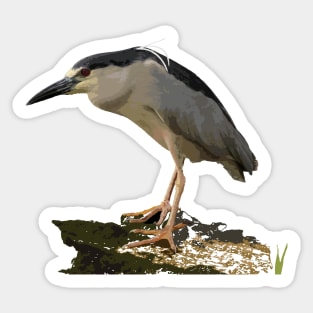 ‘Auku’u or black-crowned night heron Sticker